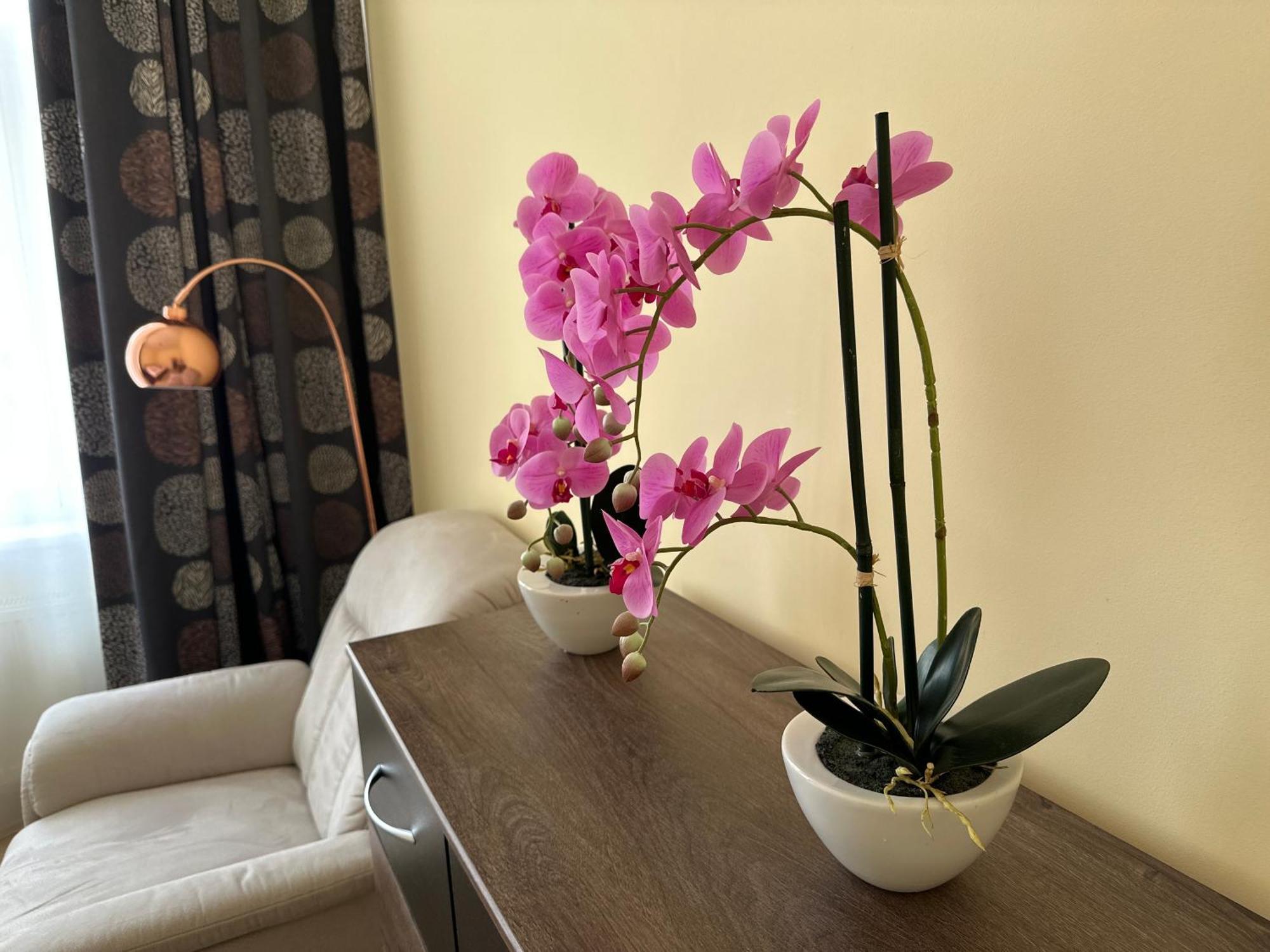 Apartment Zeyerova4 การ์โลวีวารี ภายนอก รูปภาพ